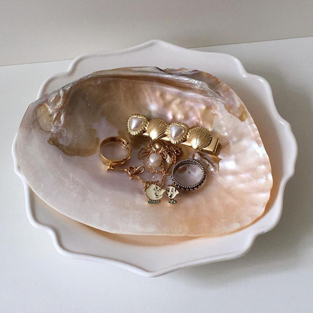 繊細で可愛らしい鮮やかな色の貝殻型ホームデコレーション収納容 - The Art And Craft Of Jewelry のレビューと価格