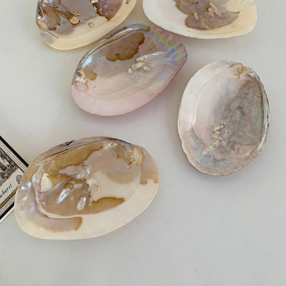 繊細で可愛らしい鮮やかな色の貝殻型ホームデコレーション収納容 - The Art And Craft Of Jewelry のレビューと価格